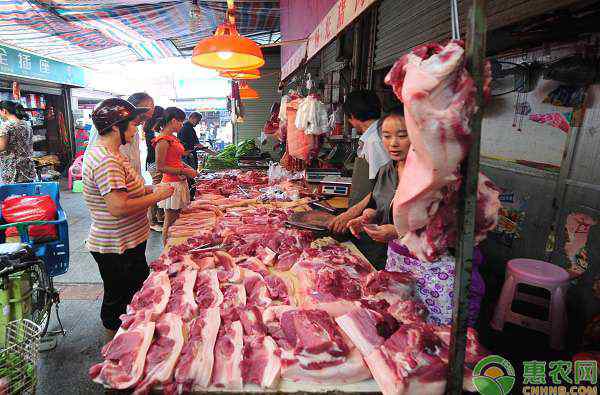 豬肉價格今日價 西安今日豬肉價格行情走勢分析