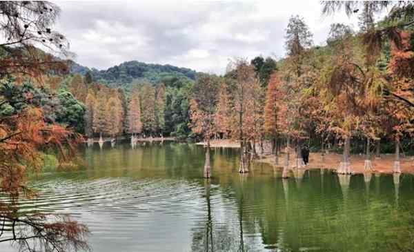 廣州白云山門票 廣州白云山風(fēng)景區(qū) 五元門票暢游一天