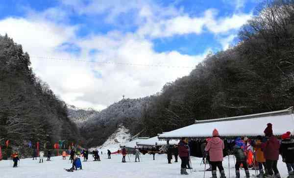 神農(nóng)架香蕉 神農(nóng)架有幾個滑雪場 哪個滑雪場更好