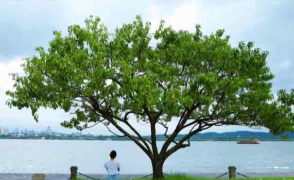 西湖一日游攻略 西湖十景一日游線路和順序