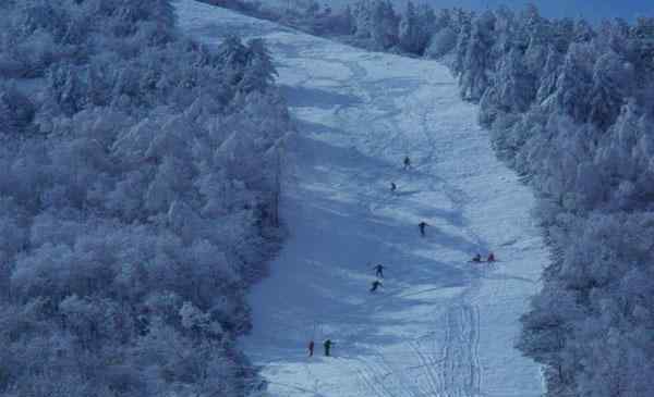 神農(nóng)架香蕉 神農(nóng)架有幾個滑雪場 哪個滑雪場更好