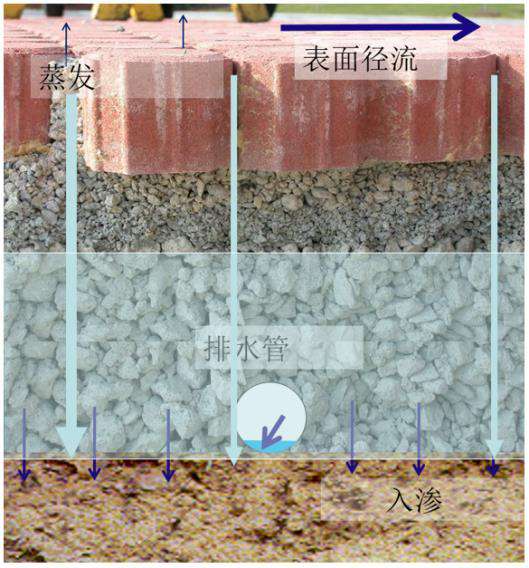 綠色生態(tài)家園 龍光地產(chǎn):構(gòu)建綠色生態(tài)家園 助力城市可持續(xù)發(fā)展