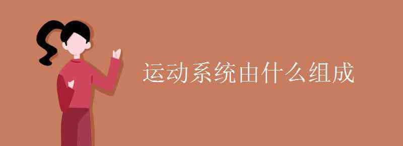 運(yùn)動(dòng)系統(tǒng)由什么組成 運(yùn)動(dòng)系統(tǒng)由什么組成