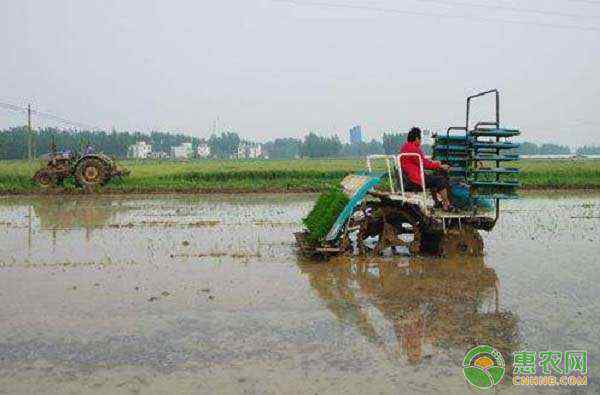 插秧機(jī)多少錢一臺(tái) 栽植機(jī)械多少錢一臺(tái)？2020各類栽植機(jī)械報(bào)價(jià)一覽表