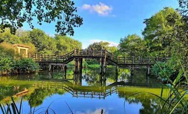 杭州西溪濕地公園門票 2020杭州西溪濕地免票預(yù)約指南-開園時(shí)間