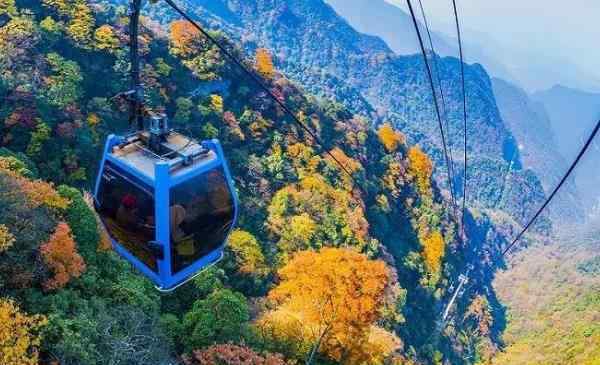 金佛山旅游 金佛山一日游詳細(xì)攻略