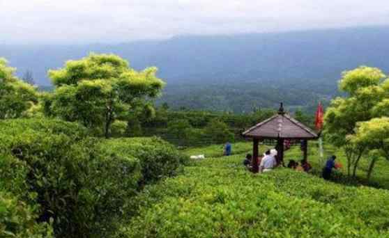 適合老人旅游的地方 西安周邊適合老人游玩的地方有哪些