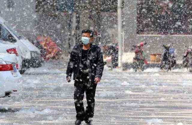 楊絮 楊絮的危害居然這么大