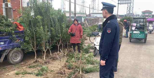 楊梅樹苗 楊梅樹苗哪里可以買？這個地方有臨時的交易市場，持續(xù)時間不長了