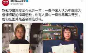 代表中國向全世界道歉的漢奸 代表中國向全世界道歉？扒開這個女漢奸的底細(xì)