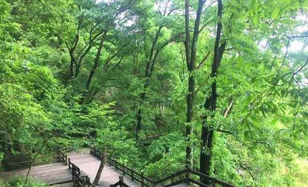 千島湖旅游路線 千島湖2日游玩攻略及最佳路線