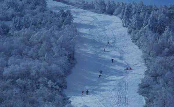 神農架香蕉 神農架有幾個滑雪場 哪個滑雪場更好