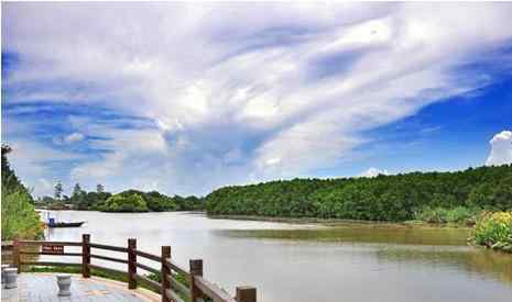 南沙濕地 2019南沙濕地公園門票多少錢 2019南沙濕地公園游玩攻略