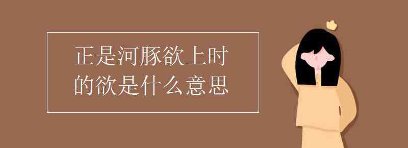 河豚是什么意思 正是河豚欲上時的欲是什么意思