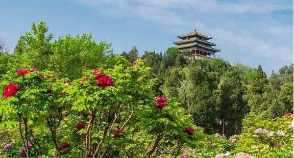 北京踏青 北京周邊適合春天踏青的地方