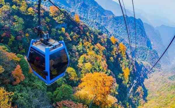 金佛山旅游 金佛山一日游詳細(xì)攻略