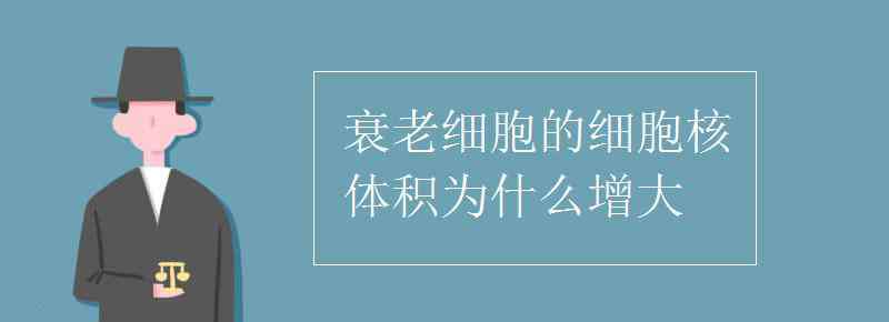 細(xì)胞衰老的原因 衰老細(xì)胞的細(xì)胞核體積為什么增大