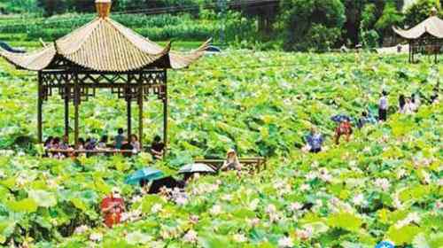 南川大觀園 2018重慶南川大觀園門票價(jià)格 重慶南川大觀園游玩路線攻略