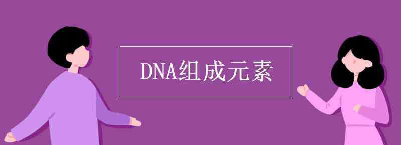 dna的組成元素 DNA組成元素