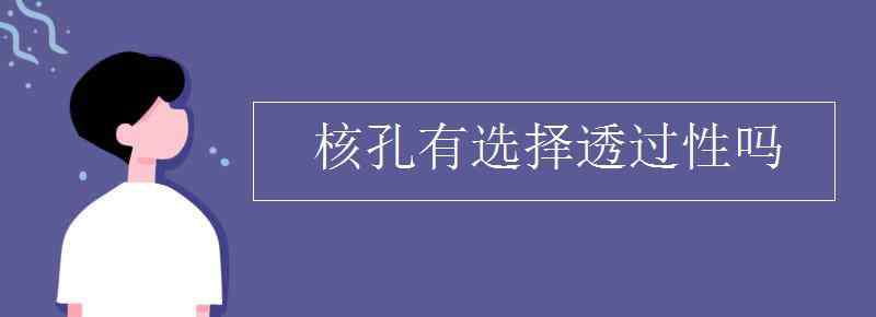 選擇透過性 核孔有選擇透過性嗎