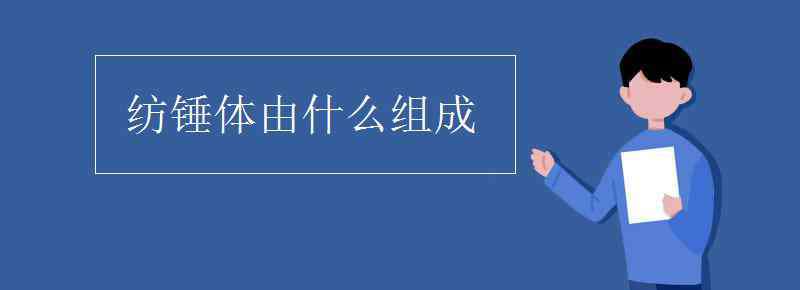 紡錘體 紡錘體由什么組成