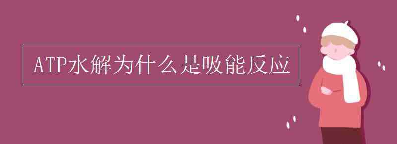 ATP水解 ATP水解為什么是吸能反應(yīng)