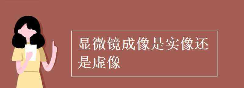 光學(xué)顯微鏡成像 顯微鏡成像是實(shí)像還是虛像