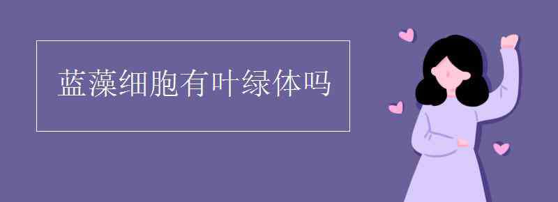 藍藻有葉綠體嗎 藍藻細胞有葉綠體