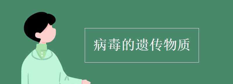 病毒的遺傳物質(zhì) 病毒的遺傳物質(zhì)