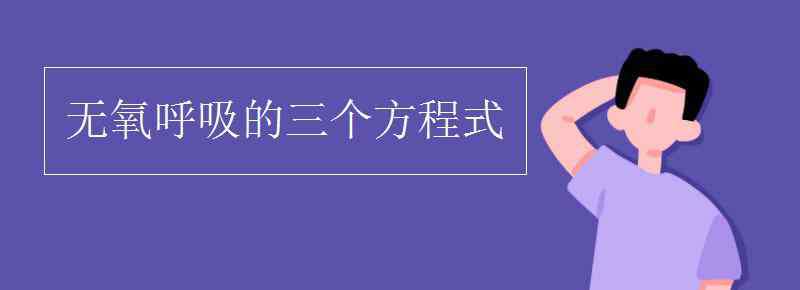 無氧呼吸的三個方程式 無氧呼吸的三個方程式