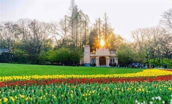 杭州太子灣公園門(mén)票 2020杭州太子灣公園預(yù)約流程及游玩指南