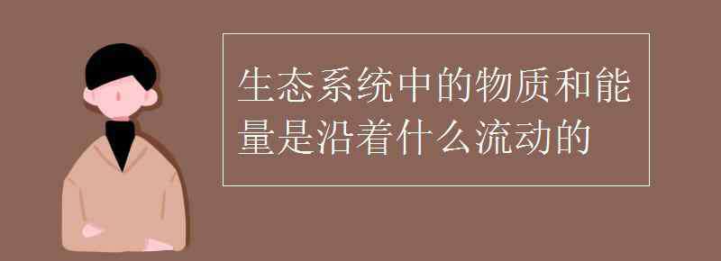 沿著 生態(tài)系統(tǒng)中的物質(zhì)和能量是沿著什么流動(dòng)的