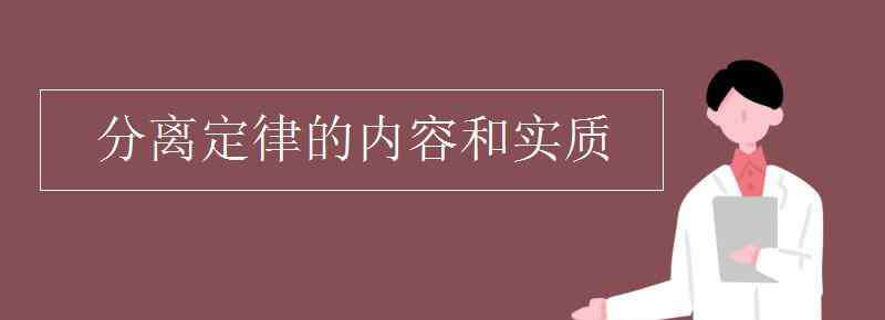 分離定律的內容 分離定律的內容和實質