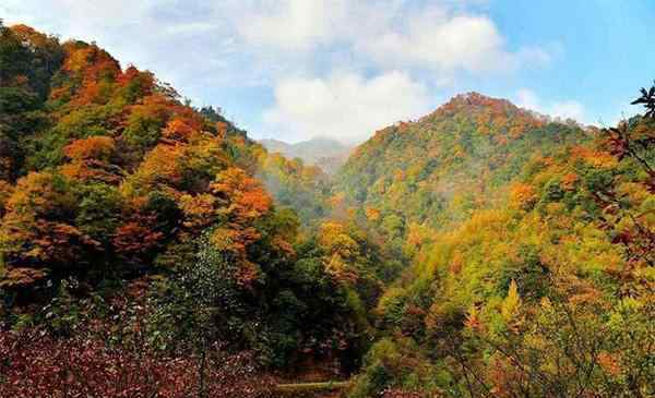 光霧山紅葉節(jié) 四川光霧山紅葉節(jié) 2019時(shí)間+觀賞路線推薦