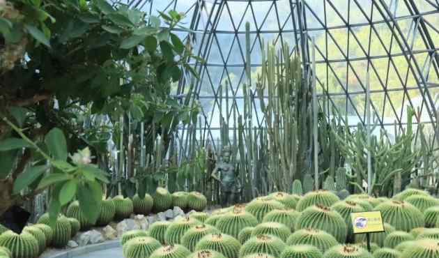 仙湖植物園門票 2018年仙湖植物園可以開車進去嗎 深圳仙湖植物園門票+拍照攻略