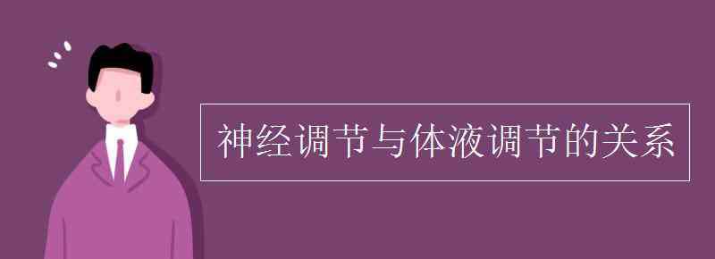 神經(jīng)調(diào)節(jié)和體液調(diào)節(jié)的關(guān)系 神經(jīng)調(diào)節(jié)與體液調(diào)節(jié)的關(guān)系