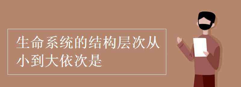 生命系統(tǒng)的結(jié)構(gòu)層次 生命系統(tǒng)的結(jié)構(gòu)層次從小到大依次是