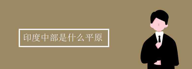 恒河平原 印度中部是什么平原