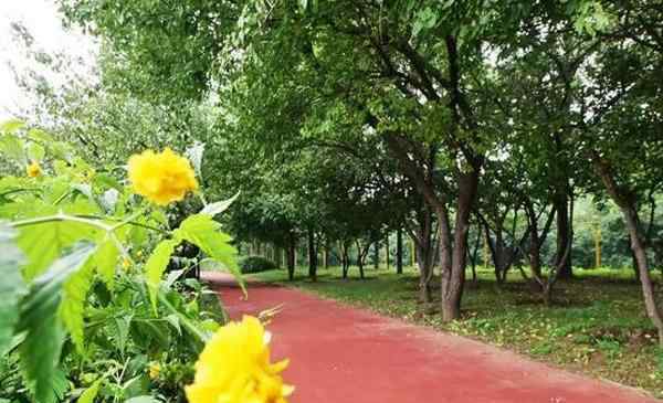 順義水上公園 順義水上公園游玩攻略