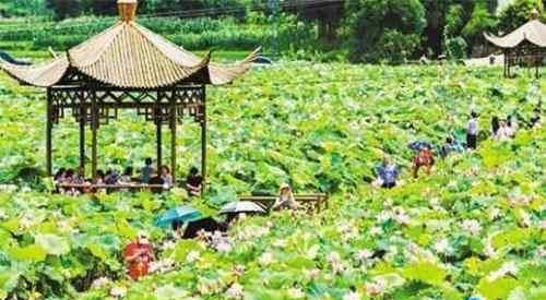 南川大觀園 2018重慶南川大觀園門票價格 重慶南川大觀園游玩路線攻略