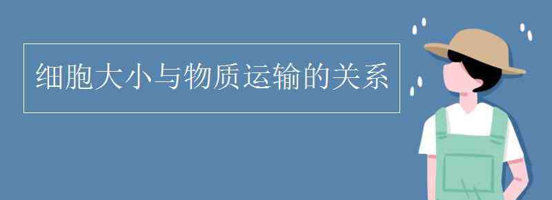 細胞大小與物質運輸?shù)年P系實驗 細胞大小與物質運輸?shù)年P系