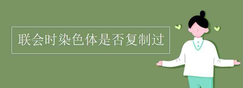 染色體復(fù)制 聯(lián)會(huì)時(shí)染色體是否復(fù)制過