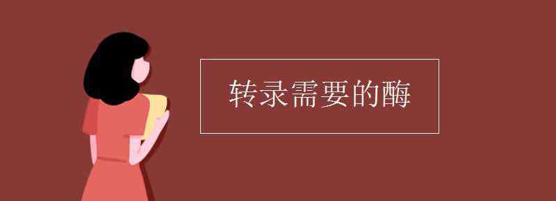 轉(zhuǎn)錄需要的酶 轉(zhuǎn)錄需要的酶