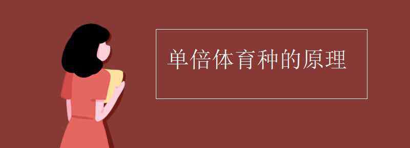 單倍體育種 單倍體育種的原理