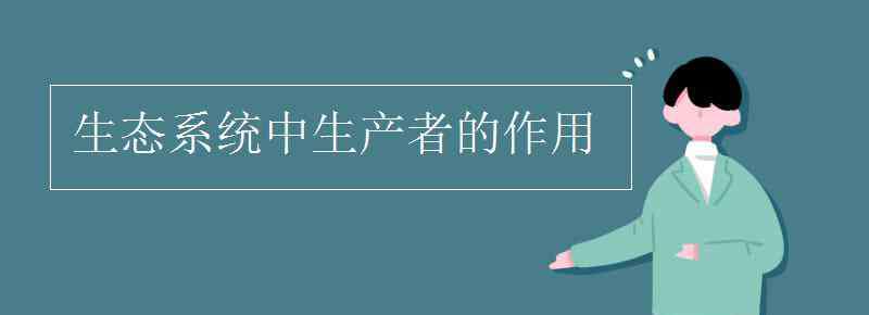 生產(chǎn)者 生態(tài)系統(tǒng)中生產(chǎn)者的作用