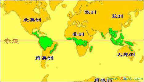 熱帶雨林氣候分布 熱帶雨林氣候主要分布在哪些地區(qū)