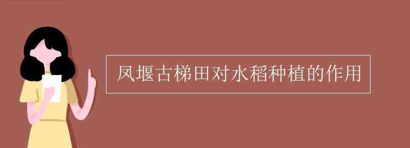 梯田的作用 鳳堰古梯田對水稻種植的作用