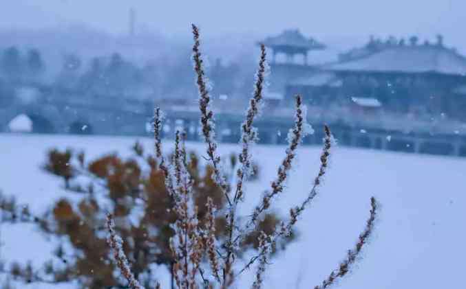 太原下雪 山西多地迎來今冬第一場雪！多條高速全線封閉，接下來還有…