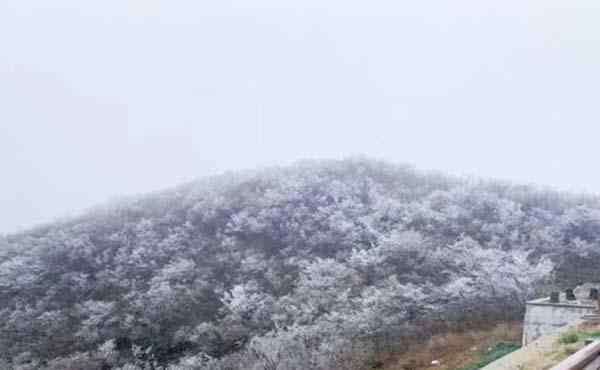 浙江下雪 2019-2020浙江下雪了嗎 浙江哪里看雪比較好