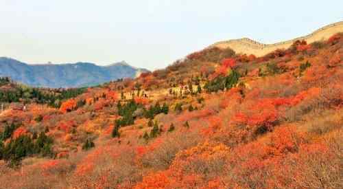 巫山紅葉節(jié) 2019巫山紅葉節(jié)時間+地點+門票+最佳觀賞點